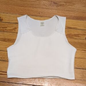 Spectrum Short Chest Binder, Size L